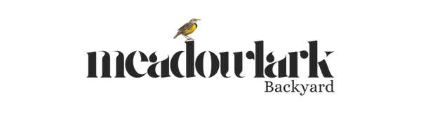 Meadowlark Backyard